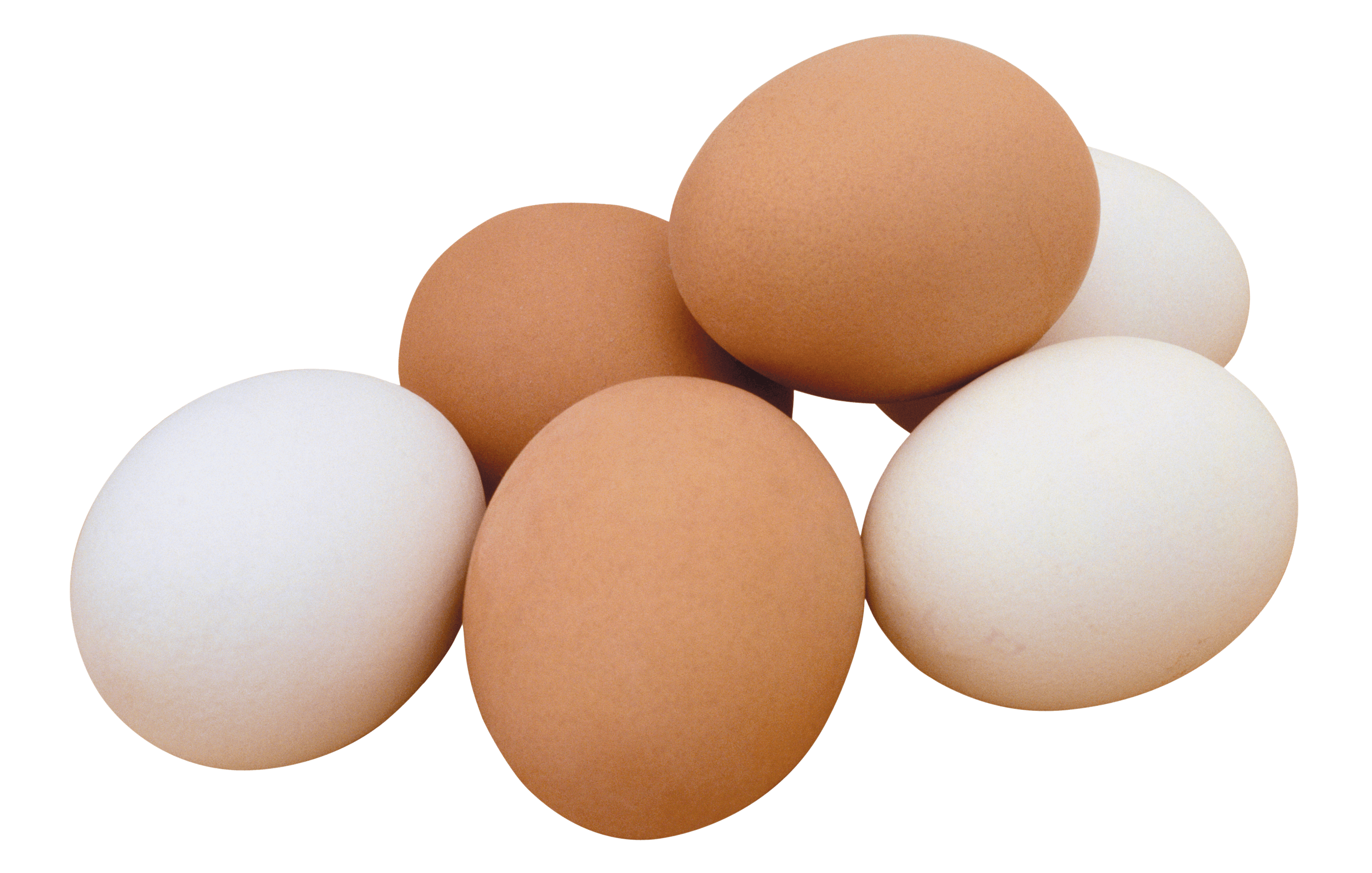 eggs